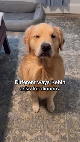 3pm dinners are a must! 