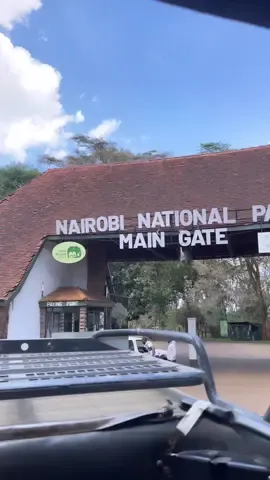 📍Nairobi National Park #nairobinationalparkkenya #gamedrivekenya #explorewithglory #kenyantravelenthusiast #iamnkatha #safaridrivekenya #parkinacity 