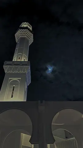 ارح سمعك#القارئ_عبدالله_الموسى #سورة_البقرة #قران #اكتب_شي_توجر_عليه #عبدالله_الموسى #quran #explore #quran_alkarim #اجر_لي_ولكم 
