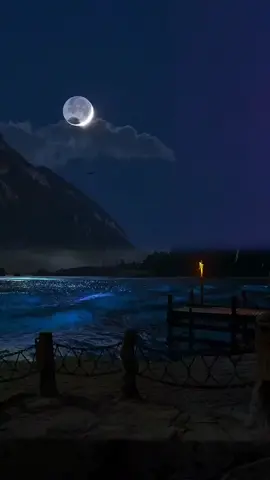 سورة المطففين كاملة | قرآن كريم #ويل_للمطففين #سورة_المطففين #القران #القرآن #قران #قرآن #قران_كريم #قرآن_كريم #stopmotion #عاشوراء #abo_geren #محرم_عاشوراء #quran #محرم #صوت_قران_جميل 