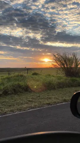 #vibesdenatureza #vidanocampo #roça #NaturezaPerfeita #paisagensincríveis #fly 