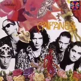 pongan Caifanes #caifanes  #sombrasentiemposperdidos #pongancaifanes #fypシ #parati #viral #tecitodemota @TikTok 
