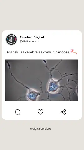 #Neurología 