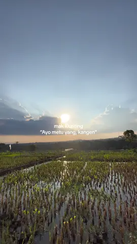 #bahansw #ngikutinyanglagiviral 