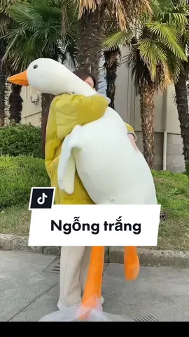 Gấu bông ngỗng trắng 💋#trending #pickeyteddy #gaubong 