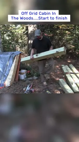 Off Grid Cabin In The Woods....Start to finish #build  #building  #builder  #buildingahouse #buildingahouse#cabin  #logcabin  #bushcraft  #wildlife  #woodenhouse  #viral  #fyp