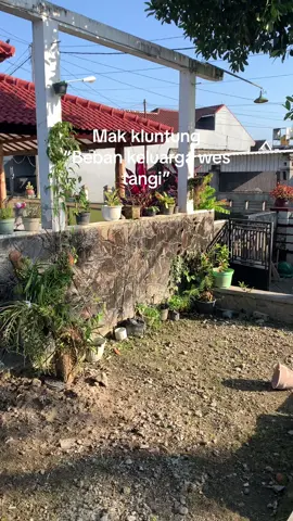 Wayae ngopag#fyp #jowopride #ngopag #fypシ゚ 