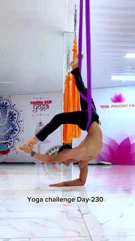 Aerial yoga #tapyoga  #yogamoingay #瑜伽 #yoga #vietnam 
