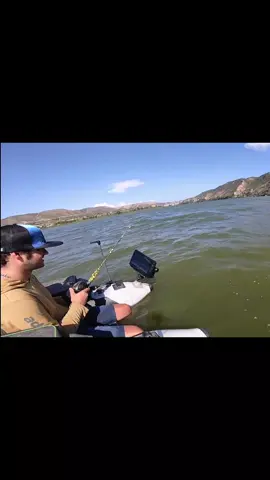 Esto no ha sido un bebe 😀🔥 #@Adventerfishing #fishing #pesca #wedkarstwo #catfish #siluro #sum #predatorfish #monsterfish #rivergishing #spinfishing #sports #deporte 