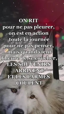 🖤🐺🖤ON RIT pour ne pas pleurer, on est en action toute la journée pour ne pas penser, mais quand  vient l'heure de se coucher, LES SOUVENIRS ARRIVENT ET LES LARMES COULENT#triste #pourtoii #wolfs #pourtoii #citationquifaitreflechir 