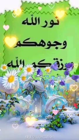 #CapCut #صباح_الخير_والمحبه #تصميم_فيديوهات🎶🎤🎬🥀 #fvypシ♥️👈🤍#اكسبلورexplore❥🕊🦋💚❤🕊️ 