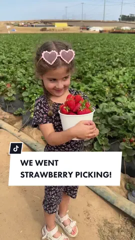 MILA AT THE END 😂 #travel #family #sandiego #carlsbad #strawberryfarm #mom #food #mustvisit 