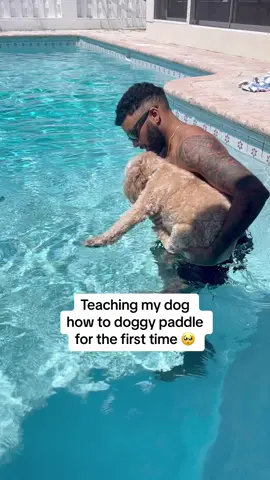 Proud dog dad moment 🥺 #dogsofttiktok #doglover #puppylove #dogs  #lunatheminicockapoo 