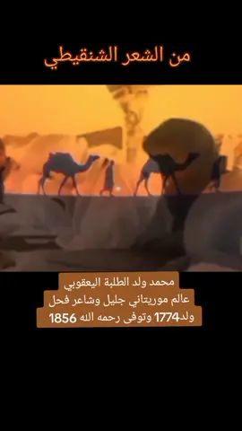 #موريتانيا #موريتانيا🇲🇷 #pourtoi #nouakchott #mauritania #viral #اكسبلورexplore #الشعر_العربي 