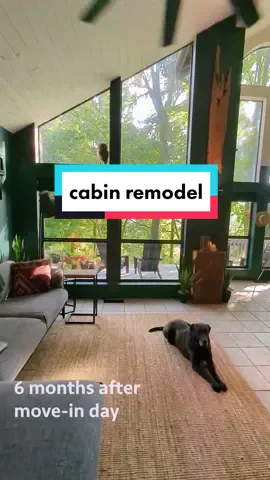 Before & after cabin remodel. 60 second recap from our YouTube vlog episode. Follow the progress on our channel (link in bio). #toddandrob #fyp #cabin #remodel #husbands #beforeandafter #mountainhome #youtuber #vlogger #lgbt #cabininthewoods #cabinlife #interiordesign 