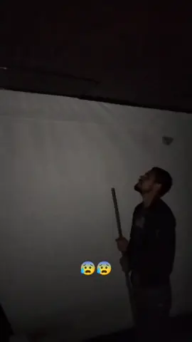 Pensamos que eran unos gatos los que hacían ruido en el techo. Pero al revisar nos dimos cuenta que era algo completamente distinto y perturbador. 😰