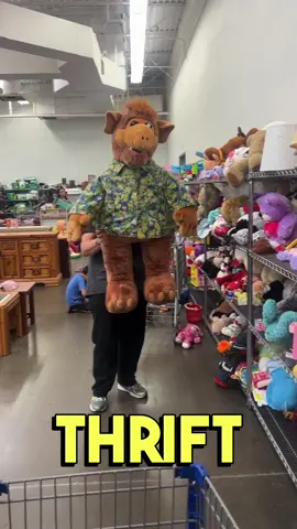 Coolest thrift store find ever! #thrifttok #thrifting #thriftstorefinds #deseretindustries #reseller 