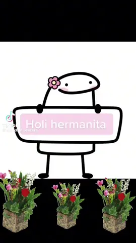 #felizcumpleaños #hermanita #happybirthday #chistoso #viral #foryou #parati 