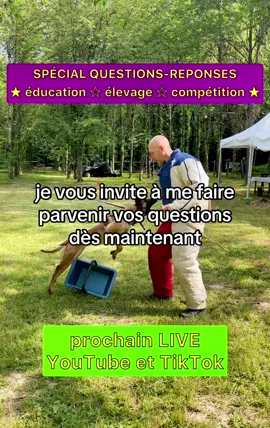 Posez vos questions, on y repondra en direct 😉 #malinois #educationcanine #chiot #chien #dressage  