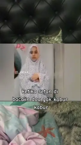 cewe emang gitu jangankan kamu ,setan aja klo gk mempan doa lgsung hajar#cewe #cantik #pemarah #doa #setan #gk #kabur #memerandom #funnymemes #canda #memestiktok #bahagiaitusederhana #tulung #kucing #trendingmeme #funnymoment #kerenbanget #lowqualitymemes #ngakak #kocakabis #memes #takut #kaget #bombastic #justfunny 