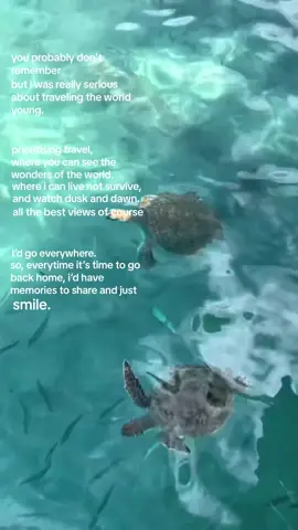 my passion || ib: myself || vc: lots of videos, will try to @ them all! #advice #simplisticp #simple #adviceaccounts #quotestoliveby #iloveyou #comfortaccount #oahuhawaii #sunsetbeaches #sunset #sunrise #beautifuldestinations #traveltiktok #travel #travelingyoung #travellingtheworld #travelpassion #travelaesthetic 