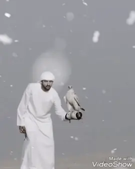 #ستوريات_حزينه #شيلات_ذوق #طيورحره🦅 #صقر_الشاهين #الأمارات_العربية_المتحدة #السعودية🇸🇦🇸🇦🇸🇦 #الخليج_الكويت_السعودية_قطر_البحرين #تصميم_فديوهات🎶🎤🎬 