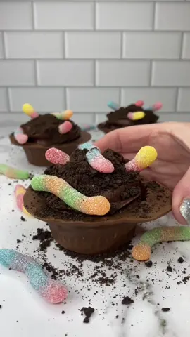 Dirt cup……..cakes 🐛🤎 #cupcake #dirtcups #cakedecorating #cakeart #chocolate #EasyRecipe 