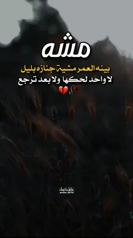 #شما_يمر_بينه_العمر_على_خدمة_باقين #اكسبلور_تيك_توك #الشعب_الصيني_ماله_حل😂😂 #اكسبلورexplore #جليباوي #العراق_السعوديه_الاردن_الخليج #البصرةكربلاء__بغداد_الحبيبه_الناصريه #كربلاء_الحسين 