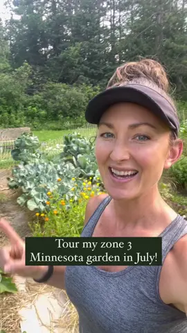 Welcome to my NEW garden at our new 240 acre homestead. I can’t believe that I planted everything just 6 weeks ago! So far, so good! 🙏🏼 Something else very exciting is that I just posted a FULL, in-depth tour of my garden on YouTube! ...and it’s my very first YouTube video! 🫣🙌🏼 Go check it out! In that video, I talk a bit more about my planting strategies and go in-depth on what’s doing well (and what isn’t). I also give a closer look at my electric fence setup (I get A LOT of questions about this!).  Lastly, if starting a garden seems overwhelming (it certainly can be!), I’d love to help you! Garden planning is a strength of mine and something I really enjoy! The fall is the best time to prep and prepare a new garden bed, so NOW is a great time to start thinking about it! 🙌🏼  Click the link in my bio to check out my garden planning course! #gardentour #zone3gardening #zone3 #mngarden #mygarden #mygardenthismonth 