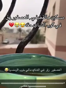 #مالي_خلق_احط_هاشتاقات #foryourpage #fy #fyp #fypシ #fyp #شعب_الصيني_ماله_حل😂😂 #foryou #funny #طلعوني_اکسبلور  #اكسبلور #الشعب_الصيني_ماله_حل😂😂 #مسرحيات #احمد_العونان #خالد_المظفر #السعودية #العراق #الكويت🇰🇼 #حسن_البلام #احمد_المظفر #viral #fyp   #اكسبلورexplore #ذبات_الفراشات #تيك_توك #ريكشنات #ذبات_العيد #العيد #خواتي #اكسبلور #الشعب_الصيني_ماله_حل😂😂 #مسرحيات #احمد_العونان #خالد_المظفر #خالد_العجيرب #طارق_العلي #حسن_البلام #عبدالعزيز_النصار #فهد_البناي #زهرة_عرفات #احمد_المظفر #محمد_الرمضان #عاطف_الرشيدان #اكسبلورexplore❥ #اكسبلور_تيك_توك #صدى_الشرقيه #الحليله #المبرز #ابوأرشيد #يوميات_عاطف_الرشيدان #بوريان🍁 #مقالب #ضحك #foryouforyoupage #كوميدي #الاحساء #fyp #اكسبلور #الشعب_الصيني_ماله_حل😂😂  #اسامه_الراشد #العيدالاضحى #viral #fyp #foryou #ترند #السعودية #foryoupage #الخادمة #العاملة #عاطف_الرشيدان #اكسبلورexplore❥ #اكسبلور_تيك_توك #صدى_الشرقيه #الحليله #المبرز #ابوأرشيد #يوميات_عاطف_الرشيدان #بوريان🍁 #مقالب #ضحك #foryouforyoupage #كوميدي #الاحساء #fyp #اكسبلور #الشعب_الصيني_ماله_حل😂😂 #مسرحيات_كويتية #مسرحية #مسرحيات #مسرح #ضحك #اكسبلور #محمد_الحملي #مبارك_المانع #مشاري_المجيبل #احمد_الفرج #نورة_العميري #هبه_الدري #فهد_البناي #ناصر_الدوب  2 ‏Try not to laugh #fail #fails #funnyvideos #🤣🤣🤣 #prank #funny #fun 