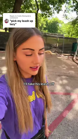 Replying to @Colin Richards  no leash this time around 👀 simbas so smart!! (& his look back to make sure im still there… so cute 🥲) #dogsoftiktok #goldenretriever #MissionImpossibleChallenge  