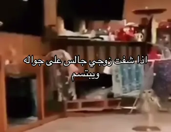 لامابتضحك لحالك #الشعب_الصيني_ماله_حل😂😂 #fyp #الهشتاقات_للرخوم #اكسبلور_تيك_توك #ابها #عسير #السعودية #ترندات_تيك_توك #مقاطع_ضحك #مضحك #😂😂😂 #اكسبلور #زوجي 