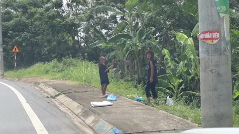 #mậtongrừngbcvc #trinhhoainam #buocchanvungcao 