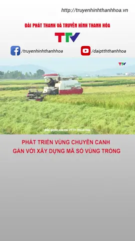 Phát triển vùng chuyên canh gắn với xây dựng mã số vùng trồng #chuyencanh #maso #vungtrong #nongnghiep #ttv
