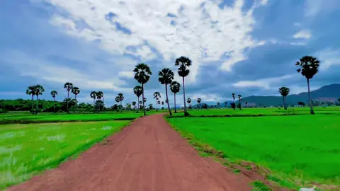 ជនបទឆ្ងាយផុតពីដីទីក្រុង🌾🍀😊#ខ្ទមស្រែ #ស្រុកស្រែ 