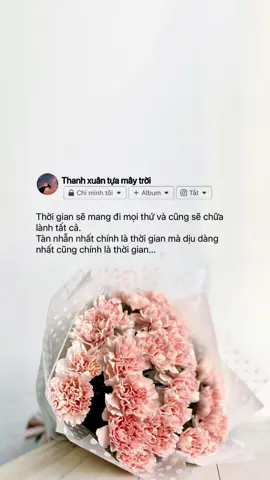 Thời gian sẽ chữa lành tất cả… #thanhxuantuamaytroi #sttbuontamtrang #story #fyp #xuhuong 