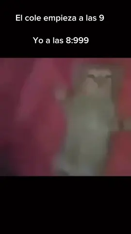 #fypシ #fypシ #gatodurmiendotranquil🐱 #parati #parati #humor #humor #meme #meme #memes 