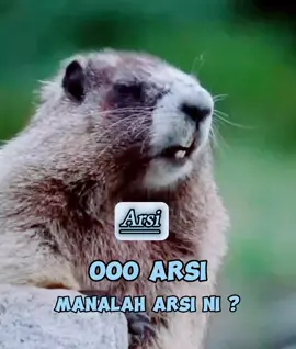 Text nama, sound boleh edit #tupaipanggilnama #tupaicomel #soundtupai #viralvideo #CapCut @MexMoney @dekfiq88 