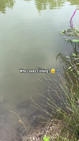 Baby Fish 🥲 #fyp #foryou #foryoupage #fishing #fishinglife #fishtok #angler #carpfishing #nayzofishing #viral 