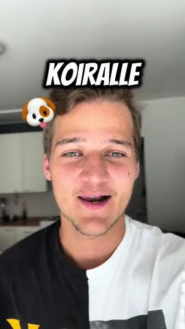 Hän oli vähän ihmeissään.🐶 #svennushow #svennutok #svennu #fyp #fypシ #foryou #foryoupage #foryourpage #trending #sinullesivu #sinulle #sinullesuomi #ttsuomi 