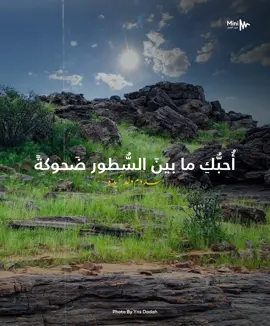 مقطع من قصيده للشاعر نزار قباني … بصوت سدوم ولد أيده  #موريتانيا #ديمي #الصحراء_الغربية #سدوم #mauritania 