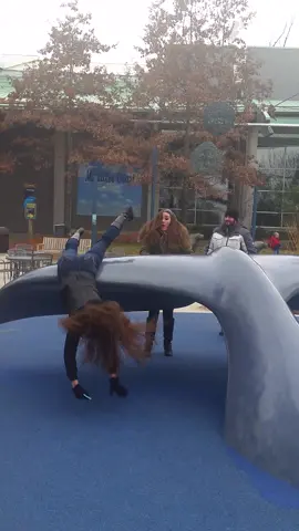 This is fin-tastic 🐳 #afv #aquarium #fail #whale #fall #funnyvideos 