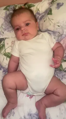 Lizzie mouse is 10weeks today 🥲 finally gona have to brave it and trim those nails shes scratched herself 🥹 #fatbabychallenge #cutelittlefatbaby 