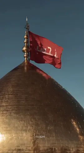 شنهو الذهب شنهو المال 💔#محرم #ياحسين #عاشوراء #قصائد 