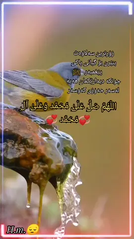 هەولبدە لە شەو رۆژی هەینی زۆرترین سەڵاوات بنێری.#🌹 #💖 #💖 #🌹 