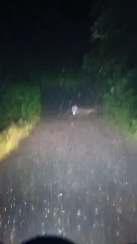 đường lô cao su không thấy cái nhà. 12h khuya mưa tầm tã. gặp cảnh này không biết nói gì. mỗi người một số phận. chúc cô thật nhiều sức khỏe.🥰#93binhphuoc 