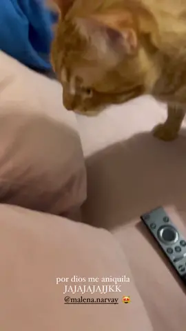 #micasuarez #malenanarvay 