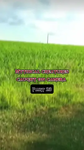 Mythical creatures caught on camera #viral #fyp #tiktok #caughtoncamera #horror #scary #creepy #ghost 
