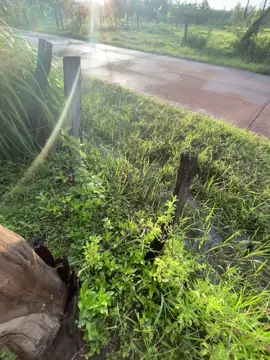 #ฟีดด#ท้องฟ้า#fyp#TikTokฟีด