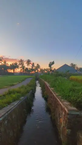 indahnya di masa itu 😊 #desaku #vibesdesa #waktuitu #jamandulu #desaesthetic #suasanapedesaan #dimasaitu #tempodulu #berangkatsekolah 